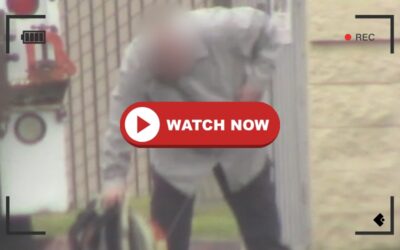 Proof in Motion: Spine Movement Observed